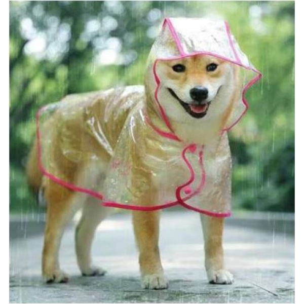 Impermeable Transparente